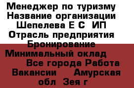 Менеджер по туризму › Название организации ­ Шепелева Е.С, ИП › Отрасль предприятия ­ Бронирование › Минимальный оклад ­ 30 000 - Все города Работа » Вакансии   . Амурская обл.,Зея г.